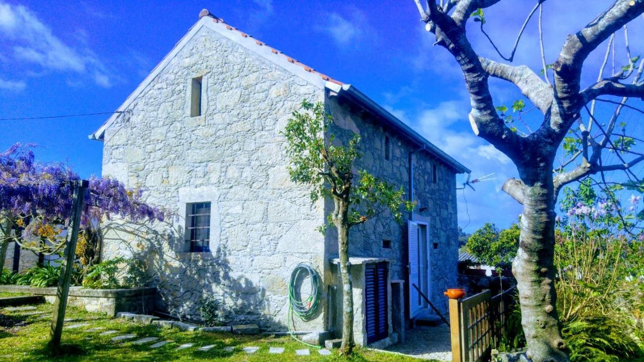 Casinha Nº461 Villa Vila Praia de Âncora Eksteriør bilde