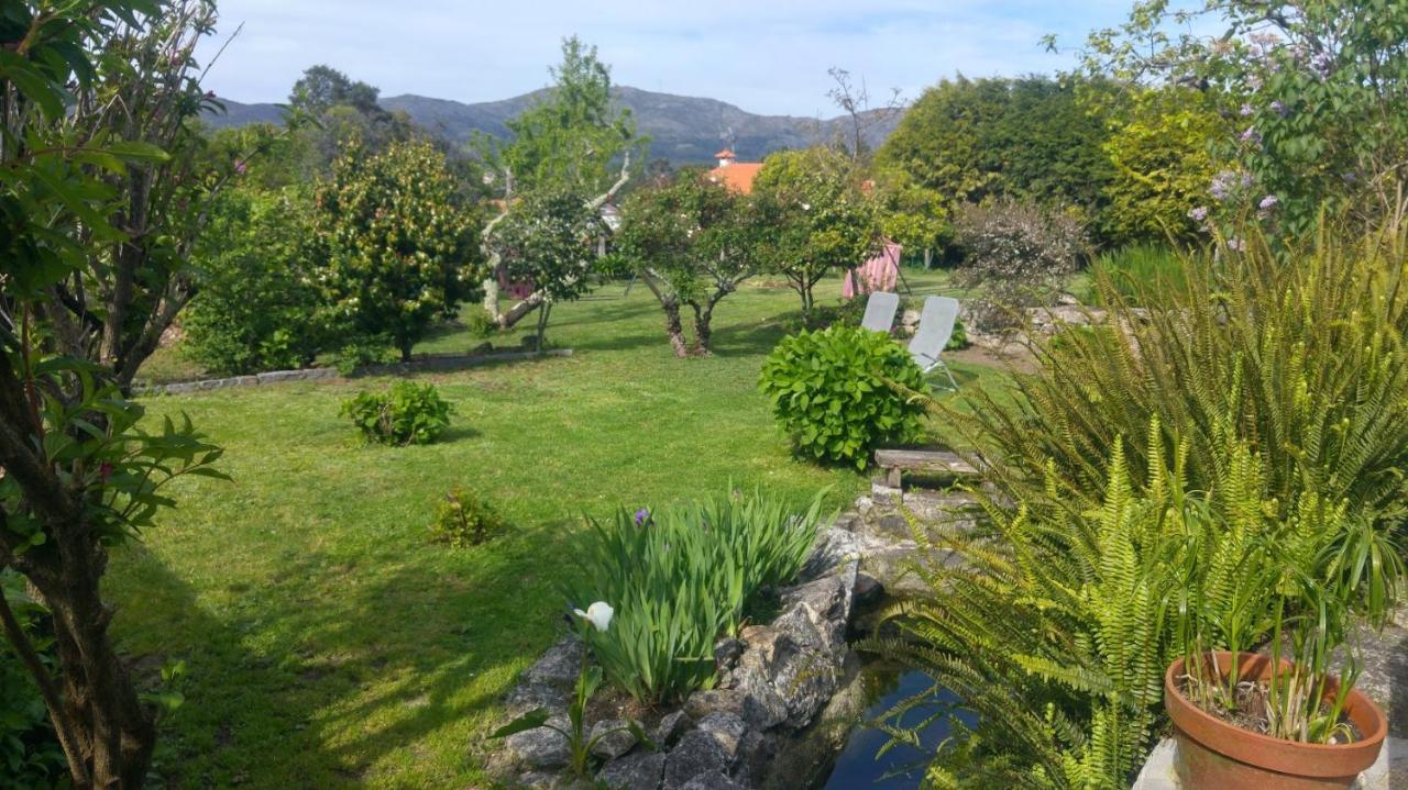 Casinha Nº461 Villa Vila Praia de Âncora Eksteriør bilde
