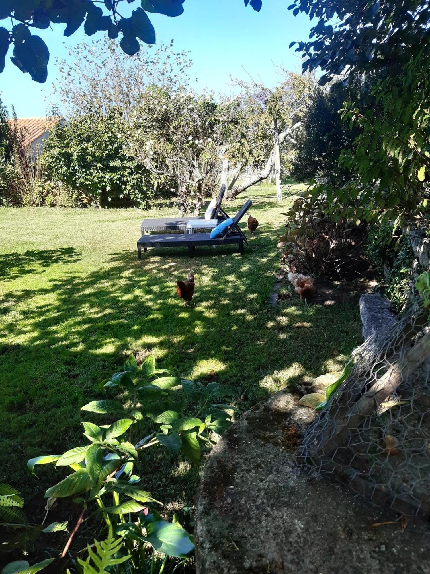 Casinha Nº461 Villa Vila Praia de Âncora Eksteriør bilde